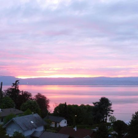 Studion N°1 - 2 A 4 Personnes Apartment Thonon-les-Bains Bagian luar foto
