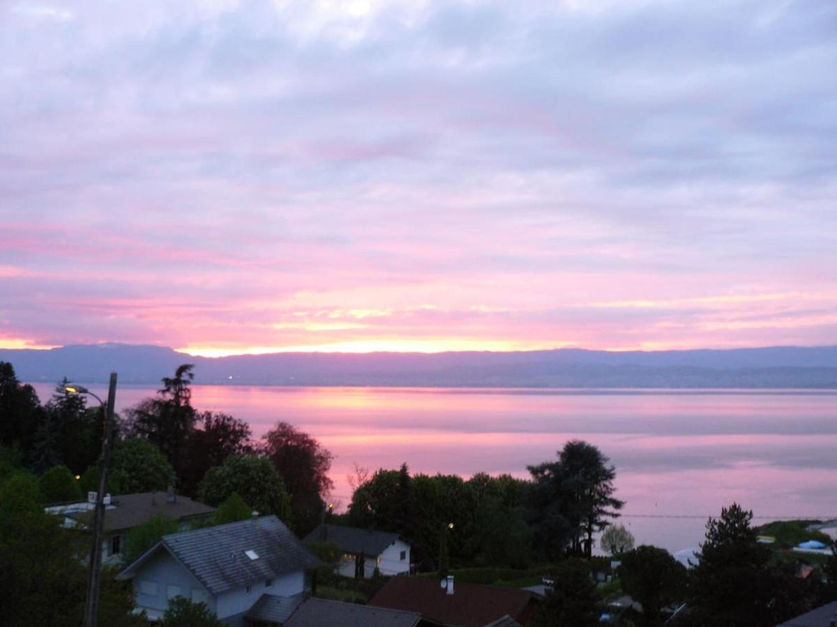 Studion N°1 - 2 A 4 Personnes Apartment Thonon-les-Bains Bagian luar foto
